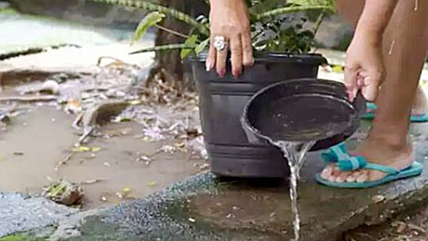 Aumenta cantidad de pacientes que tienen síntomas de dengue