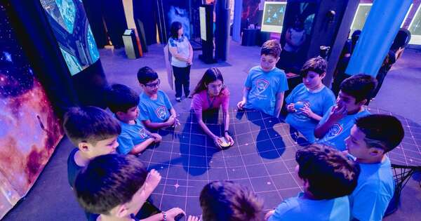 Inauguran un arbolito entre las estrellas