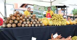 La Nación / Caazapá: feria de agricultura familiar benefició a casi 1000 familias y recaudó G. 123,8 millones