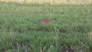 Motociclista muere tras choque con ómnibus en la Colonia Aquidabán Cañada - Concepción al Día