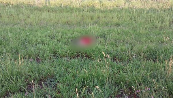 Motociclista muere tras choque con ómnibus en la Colonia Aquidabán Cañada - Concepción al Día