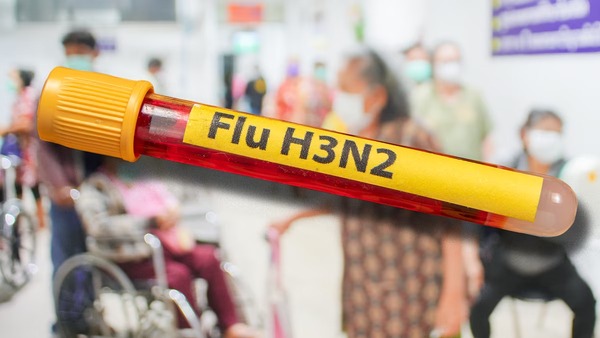 Paraguay en alerta por eventual llegada de variante K de la influenza A