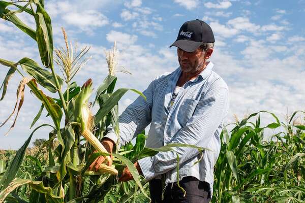674 hectáreas intervenidas con buenas prácticas agrícolas para la recuperación del suelo y la infiltración del agua - Empresariales - ABC Color