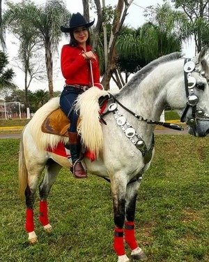 Doble homicidio en Altos: una de ellas fue conocida jinete de caballos