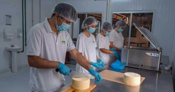 La Nación / Producción quesera de Cerrito proyecta acceder a mercados externos