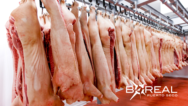 Exportaciones de carne porcina: Taiwán concentra el 86 % de los envíos | Unicanal