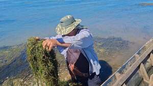 A días del fin de la veda, pescadores de Ayolas siguen sin respuesta de Yacyretá - Nacionales - ABC Color