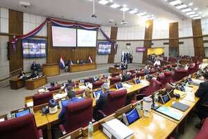 Última ordinaria de Diputados del año - Política - ABC Color