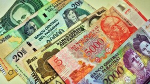 Comercios y servicios lideran los créditos otorgados por la AFD