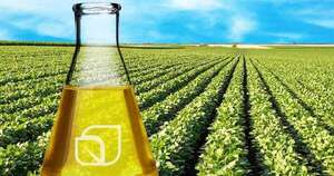 Biodiésel gana peso en la matriz energética y apunta a 20 % de mezcla