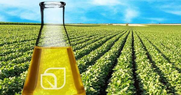 Biodiésel gana peso en la matriz energética y apunta a 20 % de mezcla