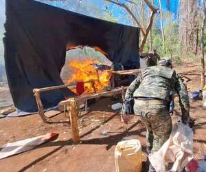 Eliminan más de tres toneladas de marihuana en Amambay - Policiales - ABC Color