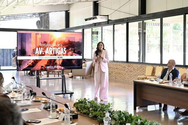 Centurión anuncia inversión sobre Avenida Artigas