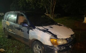 Imputan a dos abigeos tras faenar seis vacunos de raza Nelore 