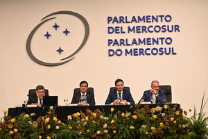 Diputado Rodrigo Gamarra fue elegido como presidente del Parlamento del Mercosur