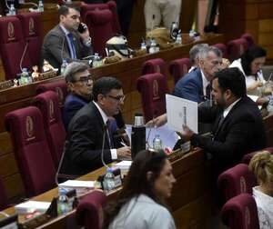 Ratifican colapso en 2028 de Caja Fiscal y plantean Bicameral para cuando llegue reforma del Ejecutivo - Política - ABC Color