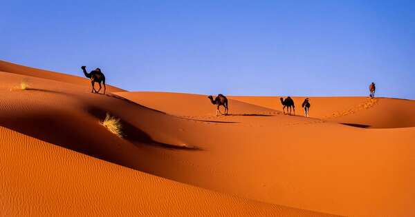 La Nación / La postura de Marruecos sobre el Sahara Occidental, explicada desde Asunción