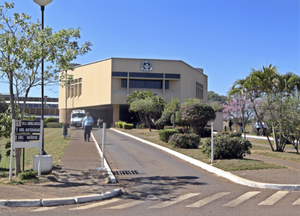 Niño Lucha por su Vida Tras Accidente en Piscina en Misiones