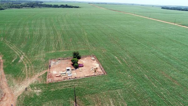 Productores ven cada vez más difícil la aplicación de norma europea; destacan que Paraguay no detuvo su proceso de adecuación
