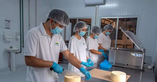 La Nación / Producción quesera de Cerrito prevé acceder a mercados externos