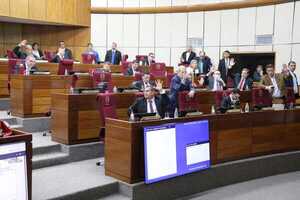 Última sesión del Senado