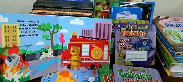 Primo de Primera Dama, privilegiado del MEC también en licitación de bibliotecas de aula - Nacionales - ABC Color