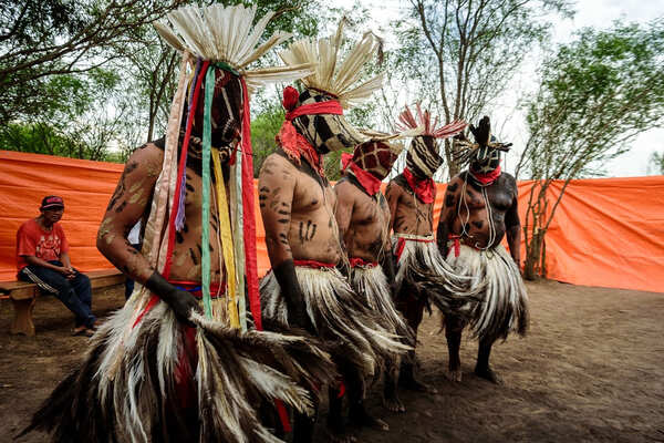 Se presenta "Ypy" en la Casa de las Artes Visuales