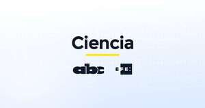 De España a las pirámides mayas: enzimas y nanotecnología al servicio del patrimonio - Ciencia - ABC Color