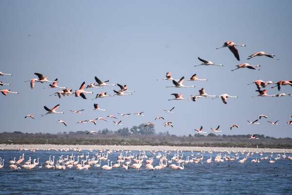Córdoba al alcance de todos, con la nueva conexión que enamora a los turistas paraguayos - Negocios - ABC Color