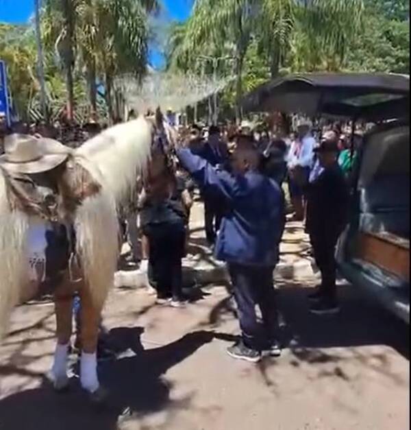 [VIDEO] Al ritmo de la bandita, "Rubito" despidió a su compañera de jineteadas