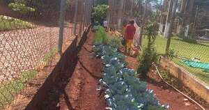 La Nación / SNPP capacitó en horticultura a 27 internos del Centro Educativo de CDE