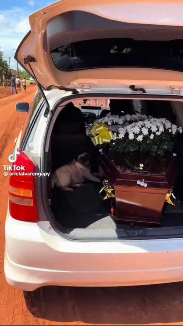 Popular / Jagua’i fiel acompañó a su dueño hasta su última morada