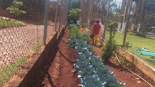 Jóvenes del Centro Educativo de CDE finalizan curso de horticultura del SNPP - ADN Digital
