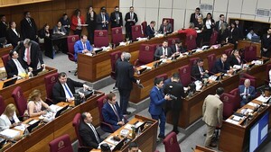 Proyecto que busca dar senaduría activa a HC y Nicanor va al 2026