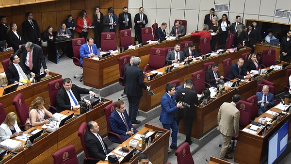 Proyecto que busca dar senaduría activa a HC y Nicanor va al 2026