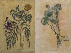 Se inaugura "Herbarium", muestra de Verónica Viedma Paoli, en Pablo Ávila Galería