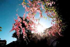 Anuncian jueves cálido a caluroso y probabilidad de chaparrones en el extremo norte del país - ADN Digital