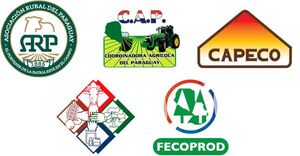 Gremios productivos rechazan cláusula unilateral de la UE y piden a Paraguay defender el equilibrio del acuerdo Mercosur-Unión