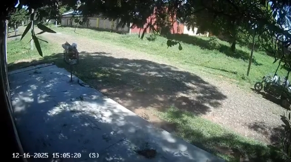  Reporte ciudadano: denuncian arrojo de basura en un patio baldío de San Lorenzo » San Lorenzo PY