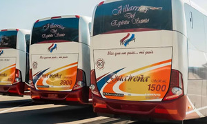 Dinatran afirma que el bus siniestrado en Coronel Oviedo era 0 km y de alta gama - OviedoPress