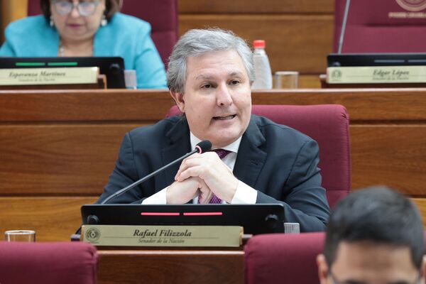 «Reunión de ministros de Corte no fue con Ejecutivo, fue con Honor Colorado», dice Filizzola