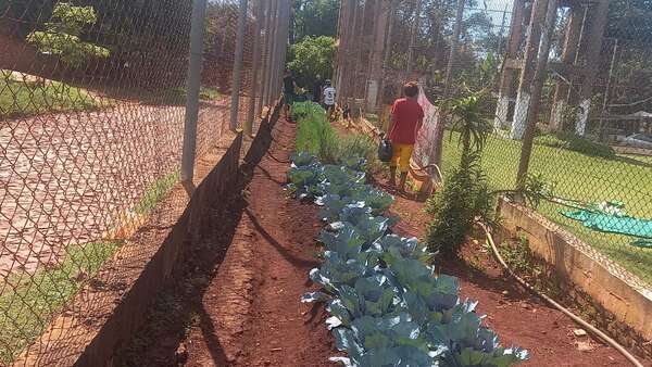 Popular / Internos del Centro de Educativo de CDE cultivaron hortalizas