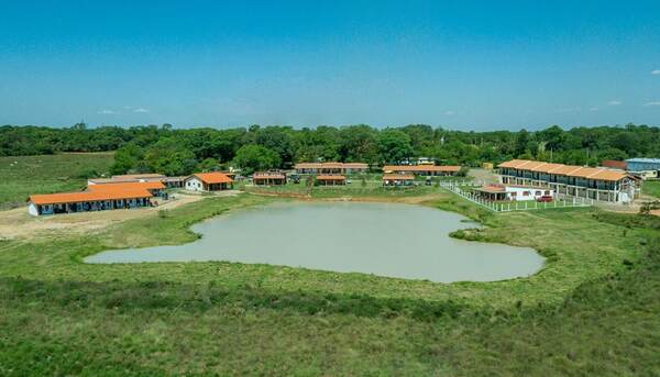 Caso de presunta estafa de una inmobiliaria está «congelado», dice abogado de víctimas