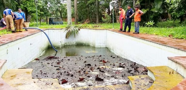 Piscinas en casa: los cuidados clave para evitar criaderos de mosquitos