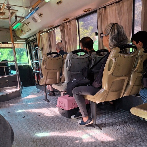 Agentes de la Policía obligaron a una mujer a descender de un bus por viajar con su gato | Unicanal