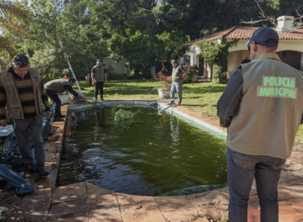 Cuidados de piscinas en verano: Evita el dengue y riesgos