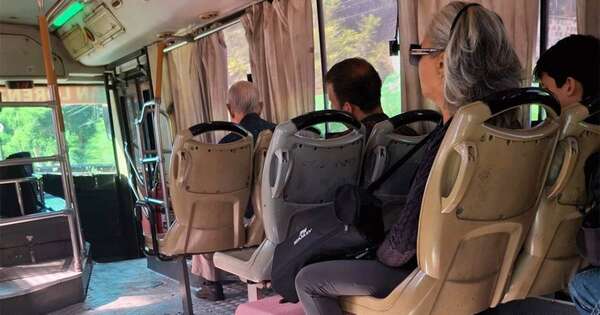 La Nación / Gatito y su dueño no pudieron viajar: empresa de transporte pide disculpas