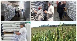 Diario HOY | Establecen requisitos para la exportación de chía a Japón