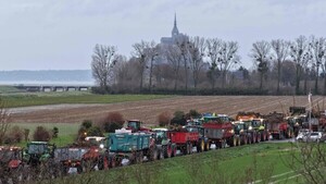 Gremios paraguayos ven salvaguardas como una "modificación unilateral" a pacto UE-Mercosur