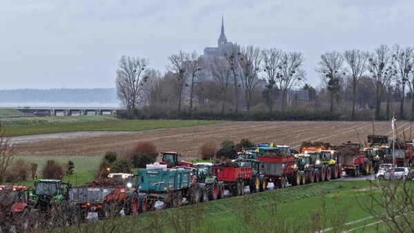 Gremios paraguayos ven salvaguardas como una "modificación unilateral" a pacto UE-Mercosur
